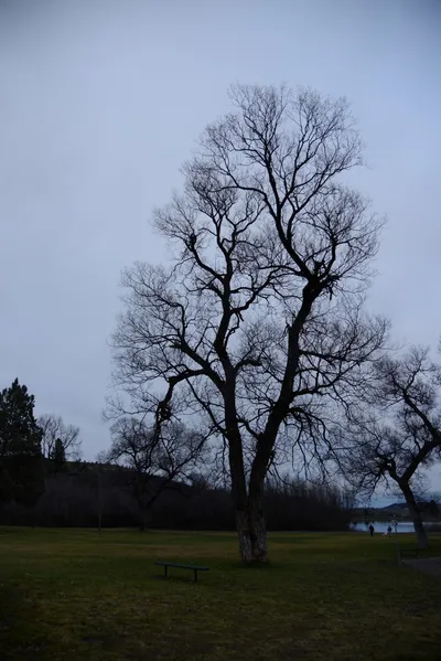 DSC_0962 (Large).JPG